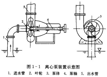 离心泵的基本构造是什么?