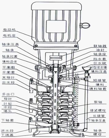 DL立式多级离心泵结构图及结构说明